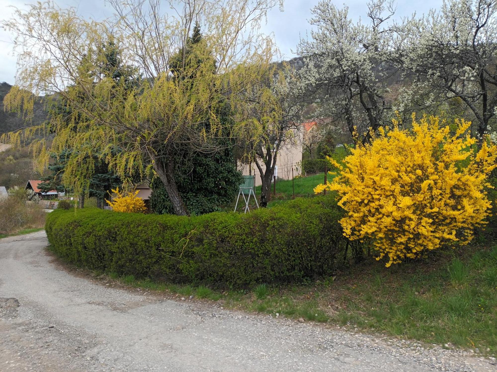 Villa Evetes Jablonov nad Turnou Buitenkant foto